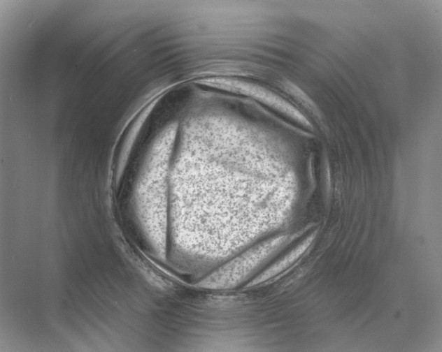 X0000074041378200609181941