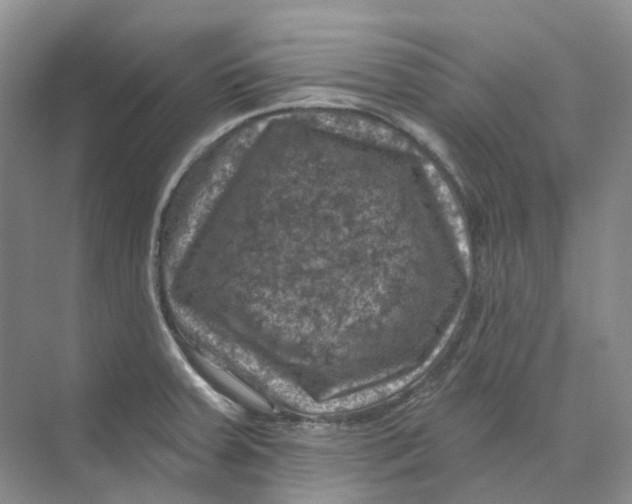 X0000074041379200609181941