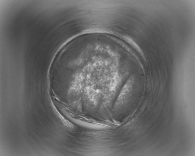 X0000074041380200609181941