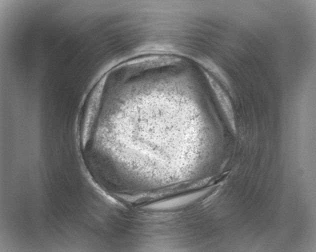 X0000074041382200609181941