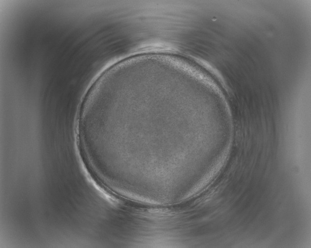 X0000074041383200609181941