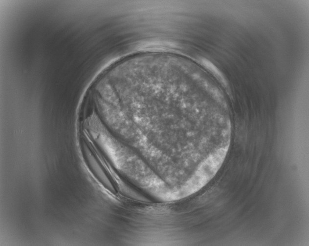 X0000074041384200609181941