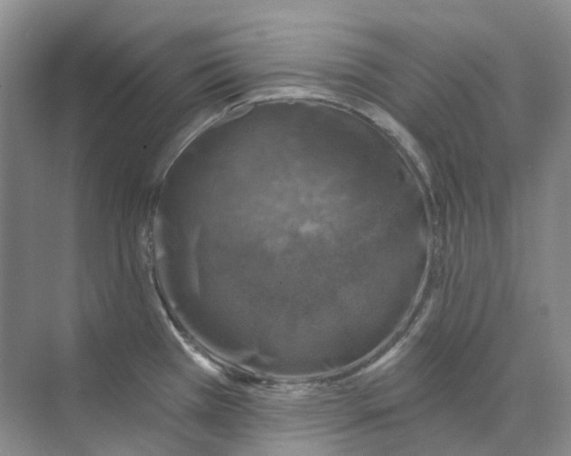 X0000074041385200609181941