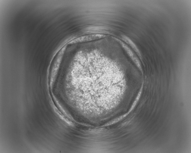 X0000074041386200609181941