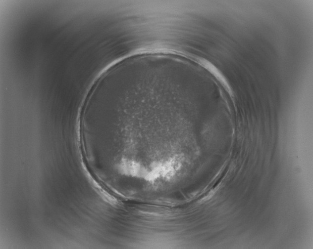 X0000074041388200609181941