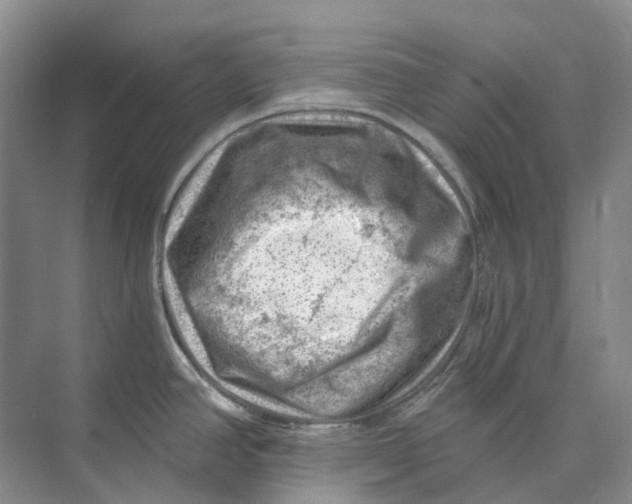 X0000074041390200609181941