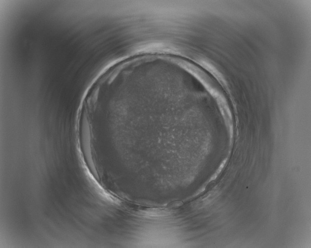 X0000074041392200609181941