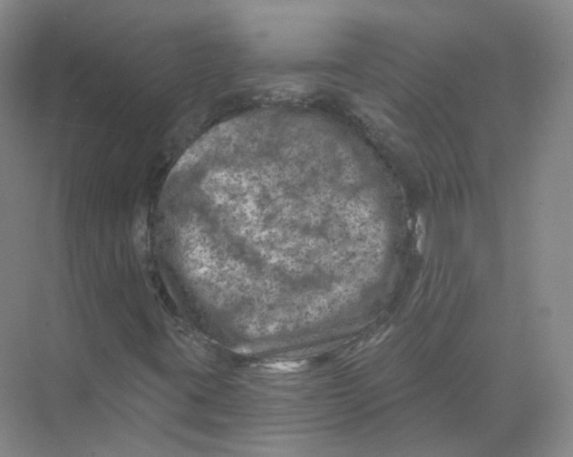 X0000074041395200609181940