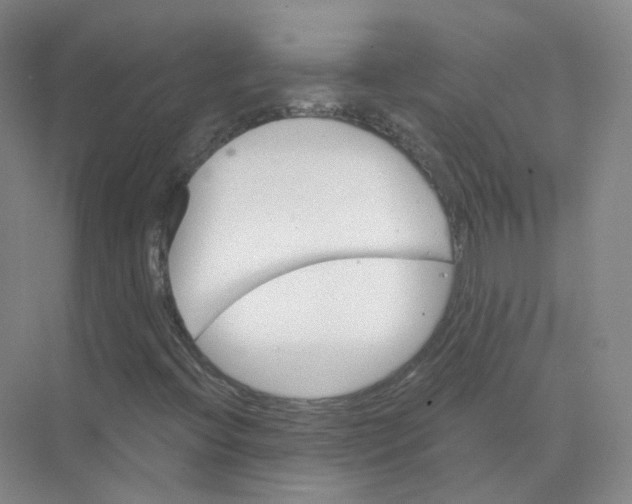 X0000074041396200609181940