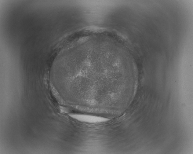 X0000074041397200609181940