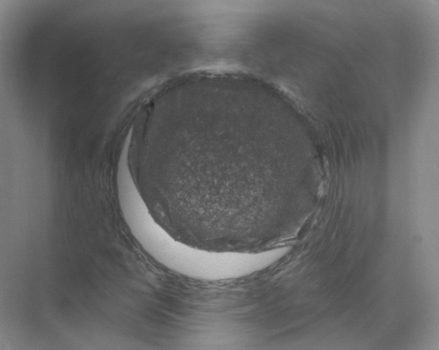 X0000074041398200609181940