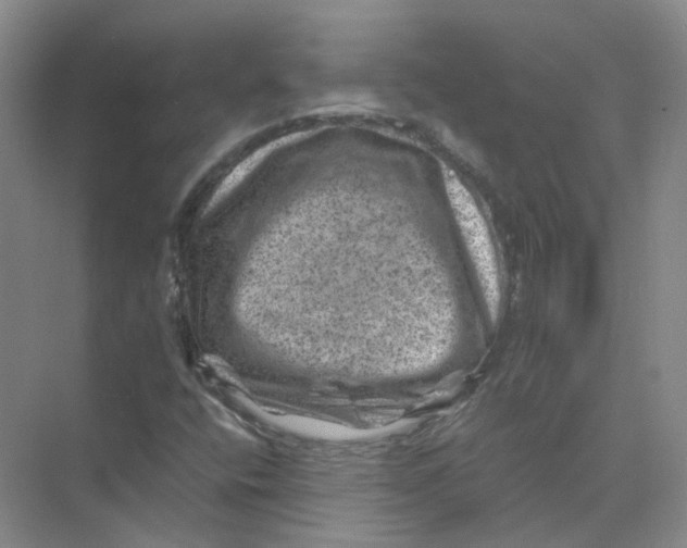 X0000074041400200609181940