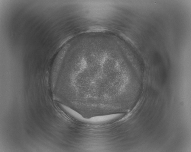 X0000074041401200609181940