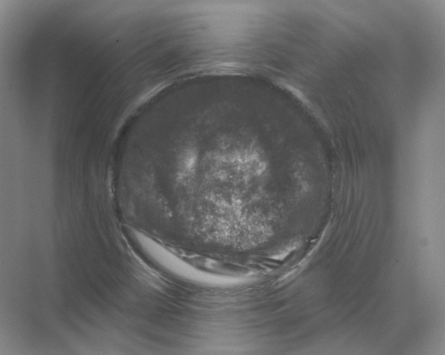 X0000074041402200609181940