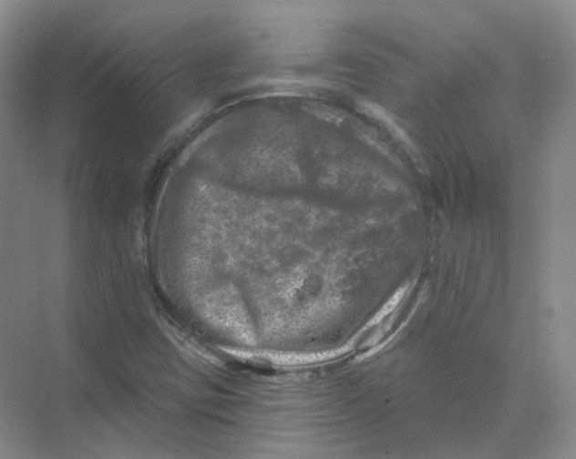 X0000074041403200609181940