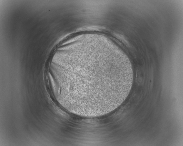 X0000074041404200609181940