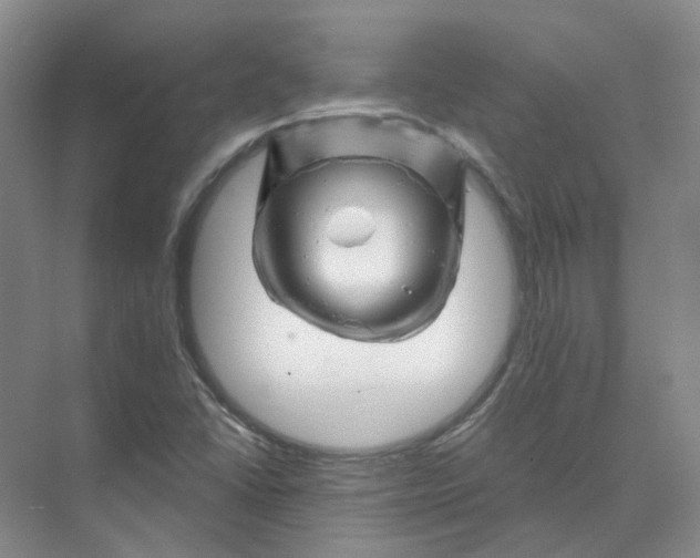 X0000074041406200609181940