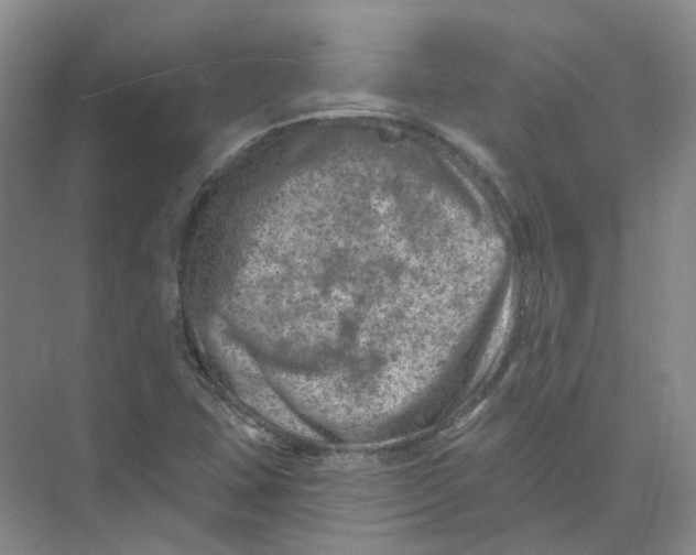 X0000074041407200609181940