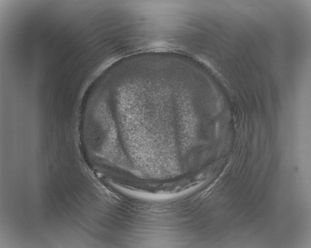 X0000074041410200609181940