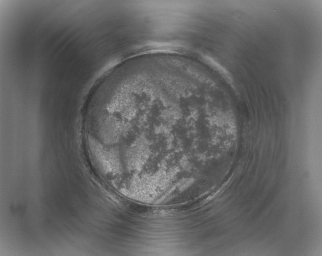 X0000074041411200609181940