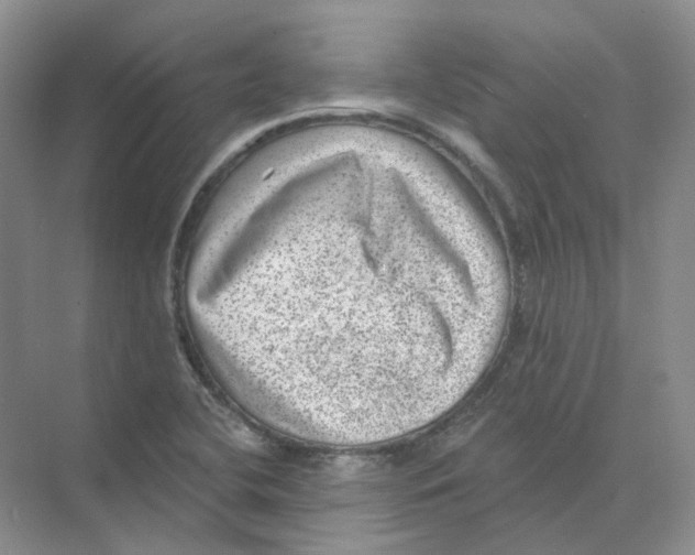 X0000074041412200609181940