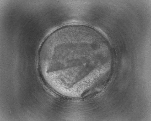 X0000074041413200609181941