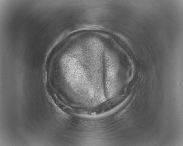 X0000074041414200609181941