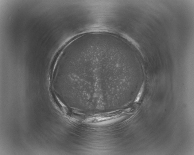 X0000074041415200609181941