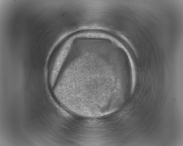 X0000074041416200609181941