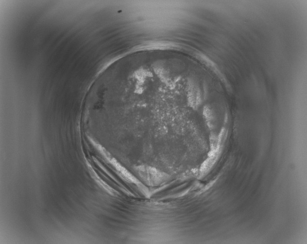 X0000074041417200609181941