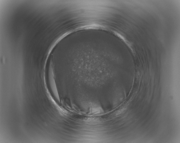 X0000074041418200609181941