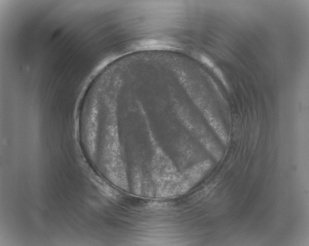 X0000074041419200609181941