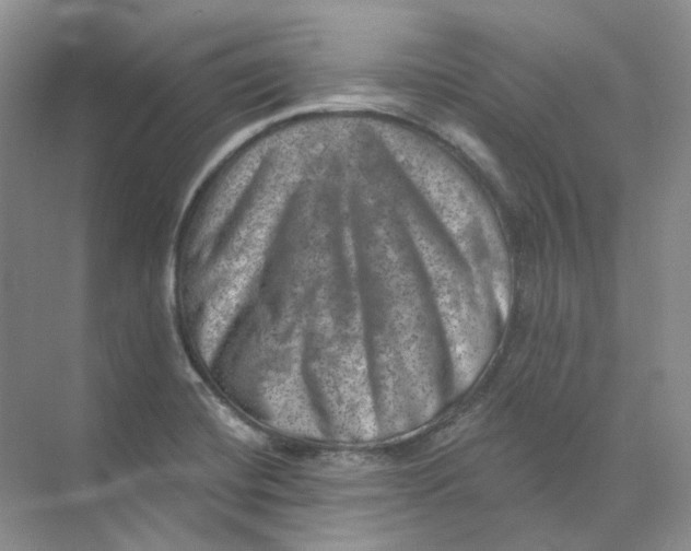 X0000074041420200609181941