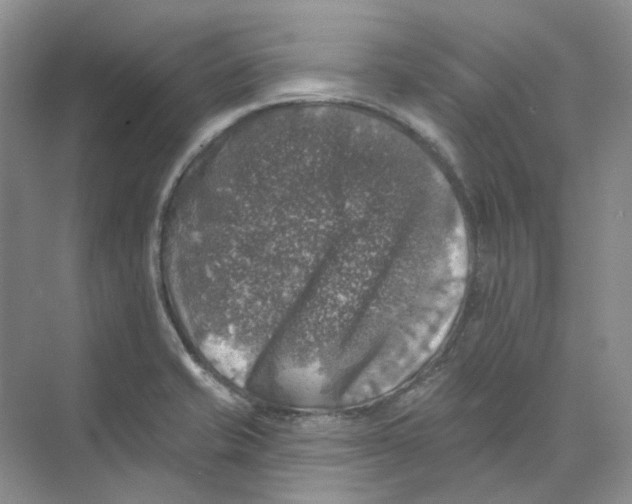 X0000074041421200609181941