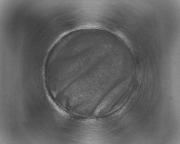 X0000074041422200609181941