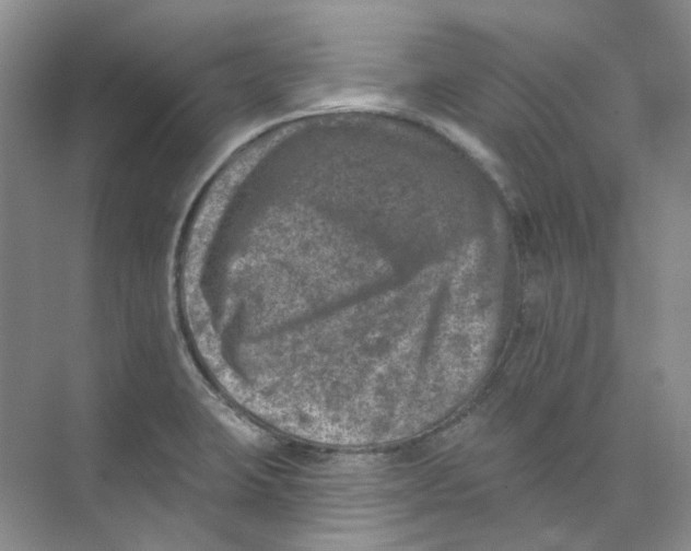 X0000074041423200609181941