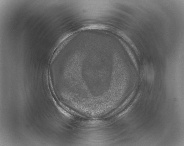 X0000074041425200609181941