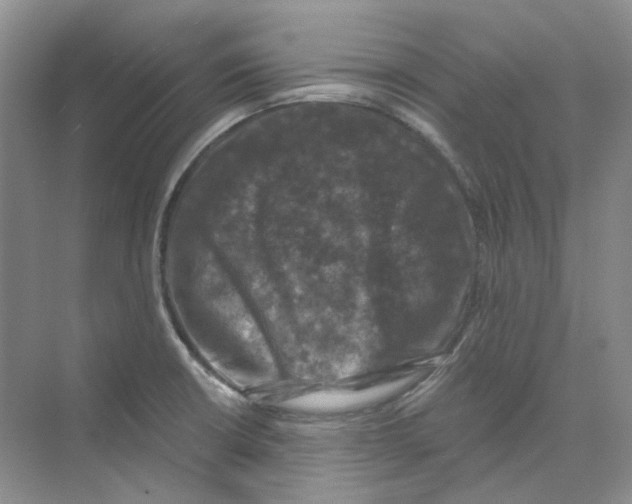 X0000074041426200609181941