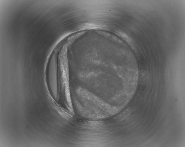 X0000074041427200609181941