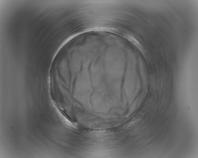 X0000074041428200609181941