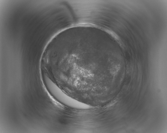 X0000074041430200609181941