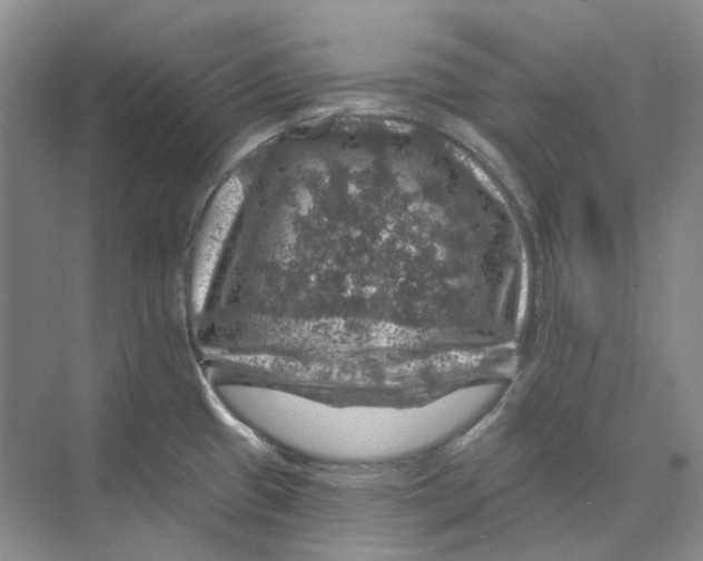 X0000074041433200609181941