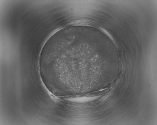 X0000074041434200609181941