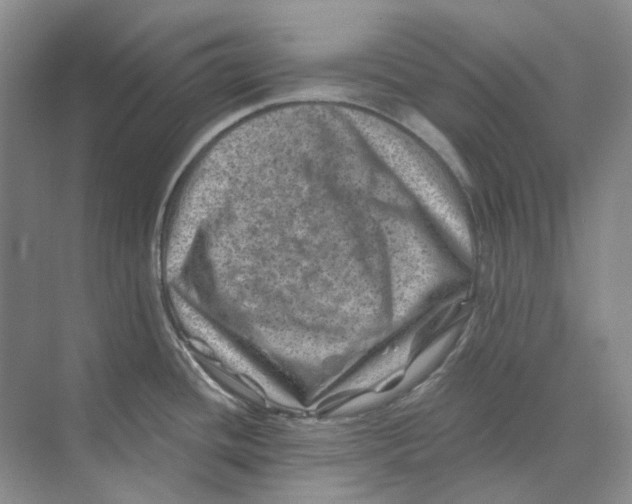 X0000074041436200609181941