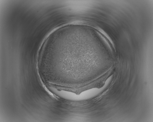 X0000074041437200609181941