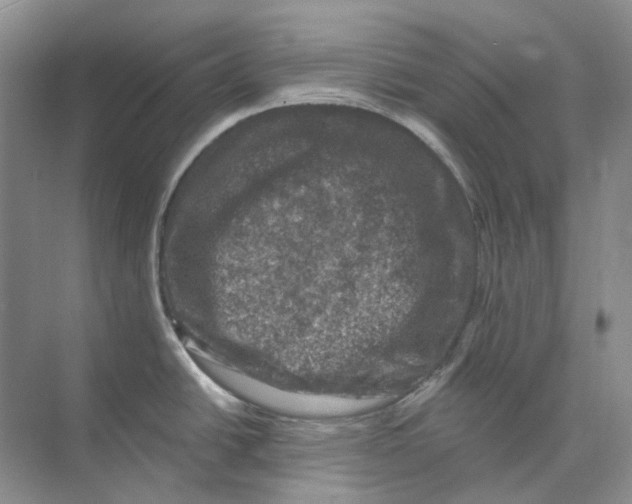 X0000074041438200609181941