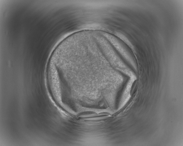 X0000074041440200609181941