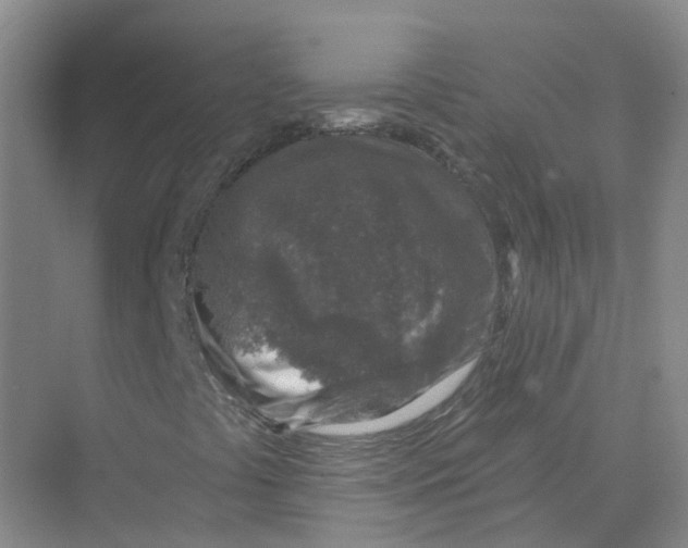 X0000074041441200609181940