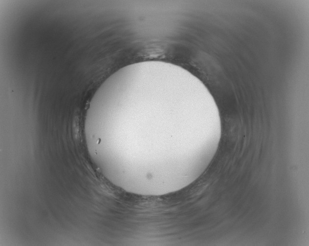 X0000074041442200609181940