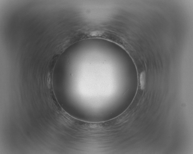 X0000074041443200609181940